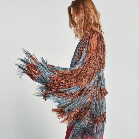 ZARA Jacket - Picture 12 of 16